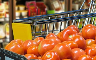 Tomaattien käppääjät kuriin